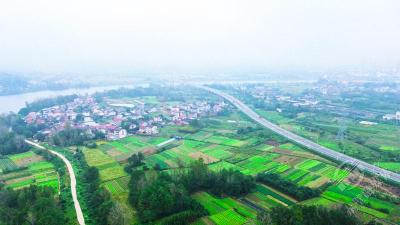 湖北赤壁：秋景似春朝 农业画卷展生机