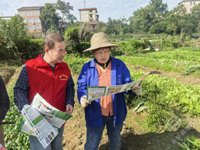 陆水湖街道：陆水湖街道开展“禁种铲毒”宣传，筑牢乡村禁毒防线