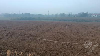 湖北赤壁：农机轰鸣绘盛景 冬闲田盘活促增收