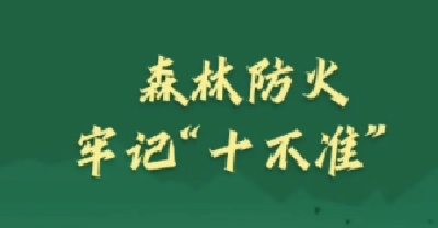 森林防灭火“十不准”