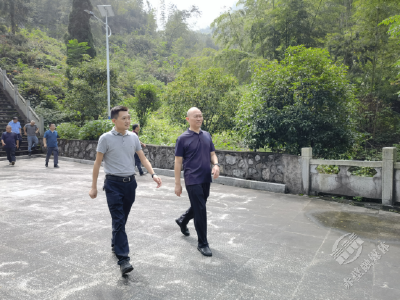 市领导在茶庵岭镇开展巡林工作