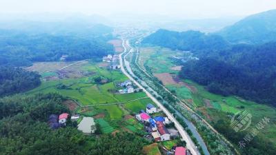 湖北赤壁：一杯青砖茶，泡开湘鄂边界治理困局