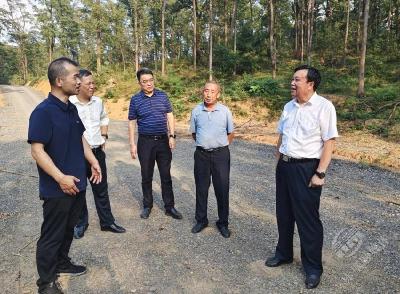 石玉华来赤壁开展第四季度巡林工作