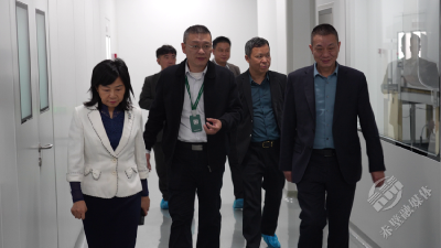 辽宁省湖北商会来赤壁市交流考察