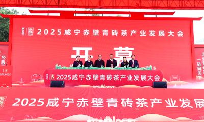 统筹做好茶文化茶产业茶科技大文章 2025咸宁赤壁青砖茶产业发展大会举行