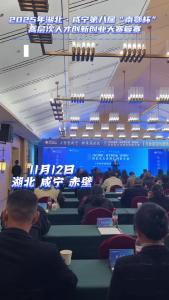 2025年湖北·咸宁第八届“南鄂杯”高层次人才创新创业大赛复赛在赤壁开赛