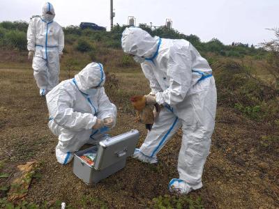 赤壁市林业局开展陆生野生动物疫源疫病监测防控应急演练