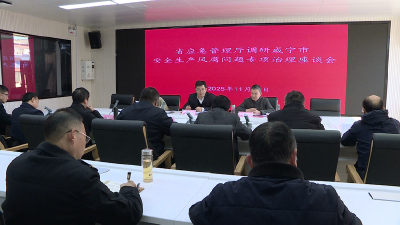 省应急管理厅调研咸宁市安全生产领域风腐问题专项治理工作
