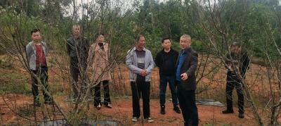 赤壁建工集团：调研时进村入户 帮扶在田间地头