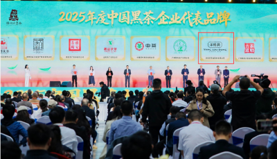 （一审）赤壁青砖茶出圈全国盛会 两茶企获评“中国黑茶企业代表品牌”