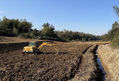 湖北赤壁：创新“共享+体验”模式 激活乡村资源价值