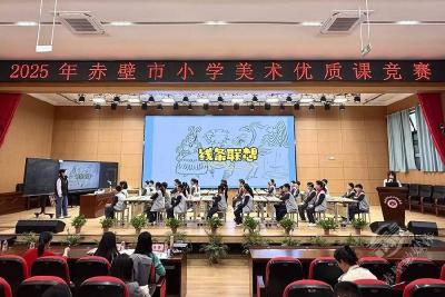 2025年赤壁市小学音乐美术优质课竞赛圆满收官
