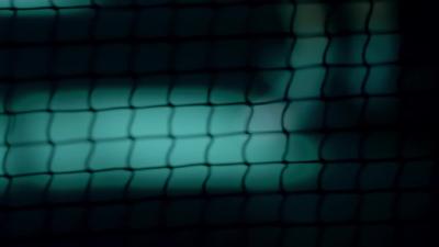 无毒青春 “羽”你同行