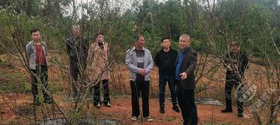 赤壁建工集团：走基层 见行动 有效果