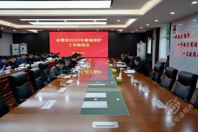赤壁市召开2025年耕地保护工作推进会议 