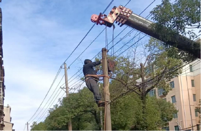 赤马港街道大桥社区：“危杆”及时清 居民安心行