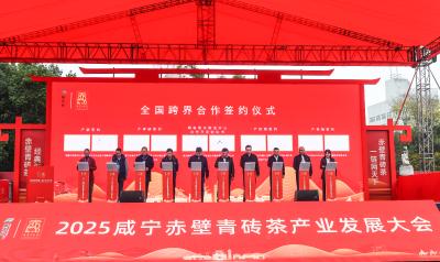 赤壁青砖茶：跨界合作推动“老茶新生”