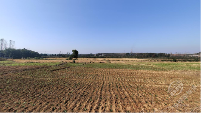 神山镇钟鸣村：高标准农田秋播忙 油菜种下新希望