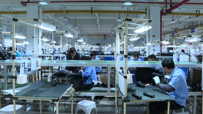 市资规局：营商环境再升级 助企发展添动力