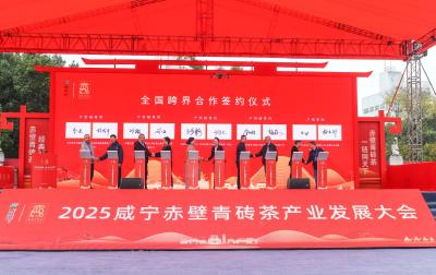 赤壁：深耕特色产业 绘就乡村振兴“丰收画卷”