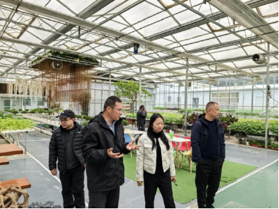 （一审）科技兴农！黄盖湖镇为农业提质找 “良方”