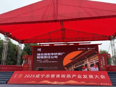 湖北赤壁：茶香赤壁 焕新出发