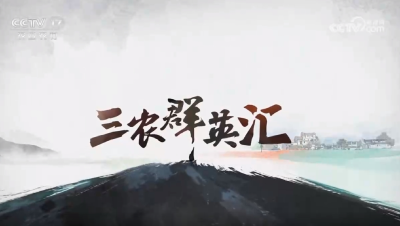 CCTV-17农业农村频道《三农群英汇》播出：娴子的稻田追梦记