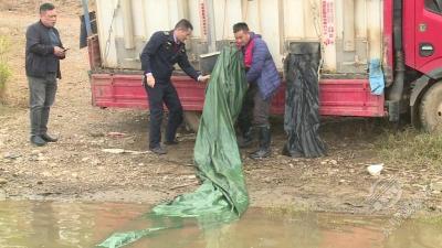 350余万尾鱼苗“安家”黄盖湖 助力水域生态修复