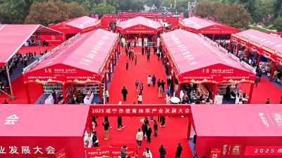2025咸宁赤壁青砖茶产业发展大会结硕果