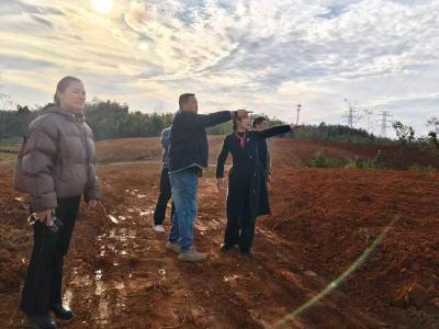 市两山投资公司：实地调研破难题，聚力赋能提质效