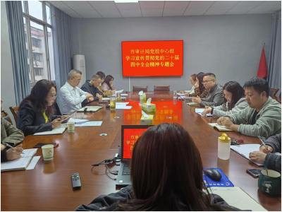 （一审）市审计局召开专题会议深入学习贯彻党的二十届四中全会精神