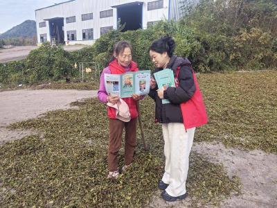 茶庵岭镇：走村入户进茶厂 禁毒宣传筑平安