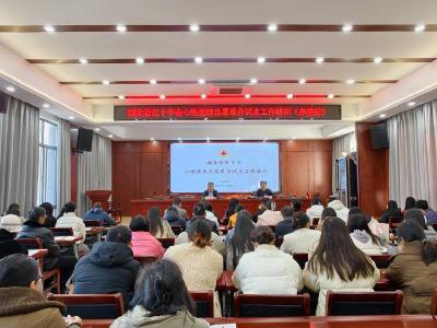 赋能心理健康教育 守护青少年成长之路——湖北省红十字会心理健康志愿服务试点培训走进赤壁市