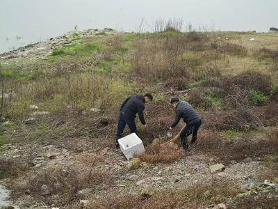 赤壁市余家桥乡：干群同心净湖岸 同心守护候鸟家