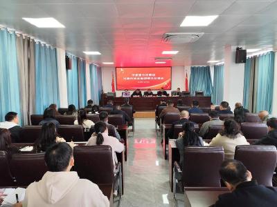 市委第五巡察组向市商发集团反馈巡察情况