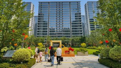 2025中国经济回眸｜筑牢发展安全根基 守住风险防控底线——解码中国经济稳健前行的底气