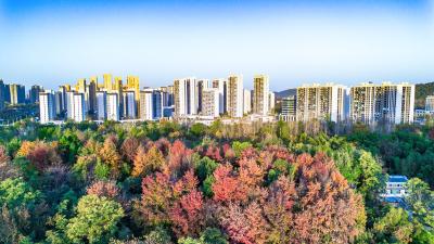 湖北赤壁：冬色斑斓 多彩画卷