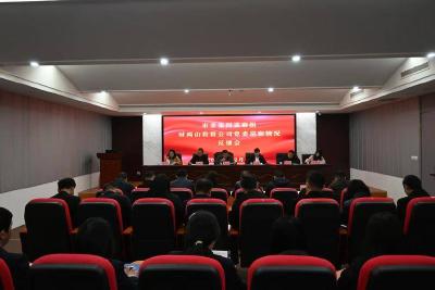 市委第四巡察组向市两山投资公司党委反馈巡察意见