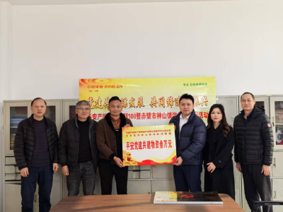 神山镇洪岭村：党建引领强根基 金融助力兴乡村