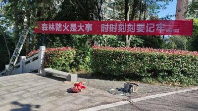 织密森林安全网 赤壁砂子岭社区开展森林防火宣传