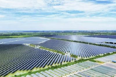 【回眸“十四五”】赤壁：建强现代农业产业园 夯实乡村振兴“硬支撑” 