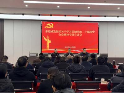 赤壁城发集团举行学习贯彻党的二十届四中全会精神宣讲报告会