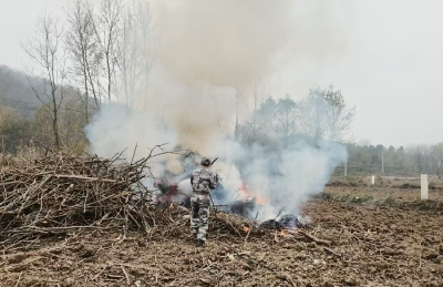 赤壁市官塘驿镇开展森林火灾应急演练 筑牢安全防线