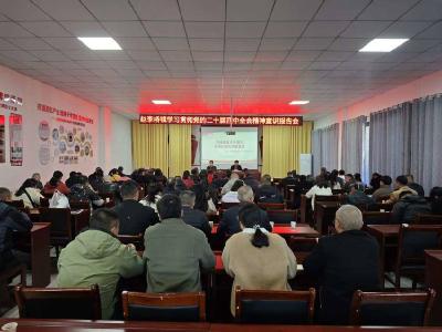 赵李桥镇举行学习贯彻党的二十届四中全会精神宣讲报告会