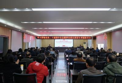 彭光平到车埠镇宣讲党的二十届四中全会精神 开展接访约访工作