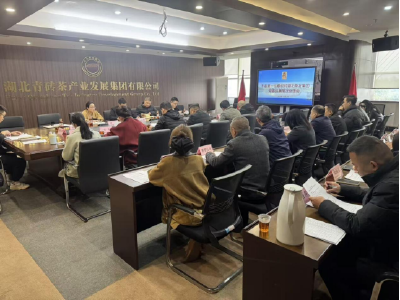 市委第一巡察组向湖北茶发集团反馈巡察情况