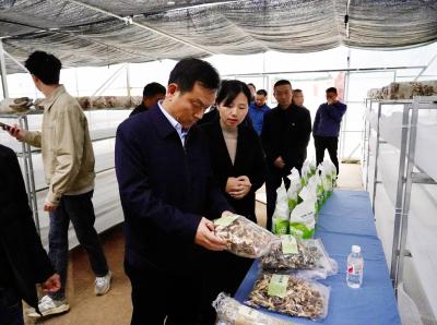 彭光平调研车埠镇经济发展、脱贫攻坚、耕地保护等工作