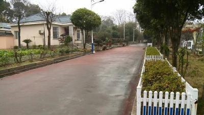 神山镇农村垃圾治理红黑榜 “单点出彩”要向“全域提质”迈进