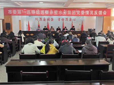 市委第一巡察组向市水务集团反馈巡察意见