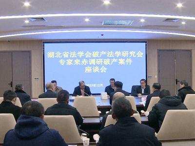 张善斌带队来赤壁市调研破产案件办理工作